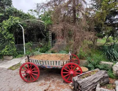 Σπίτι Προς πώληση село Пчеларово